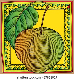 yellow green apple framed decorative vector drawing