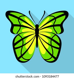 Yellow green butterfly icon. Flat illustration of yellow green butterfly vector icon for web design