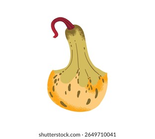 Yellow and green decorative gourd with speckled texture and curved stem, isolated on white background.
