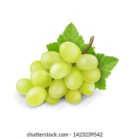 Yellow or green grapes branch with leaves isolated. Grape icon. Realistic vector.