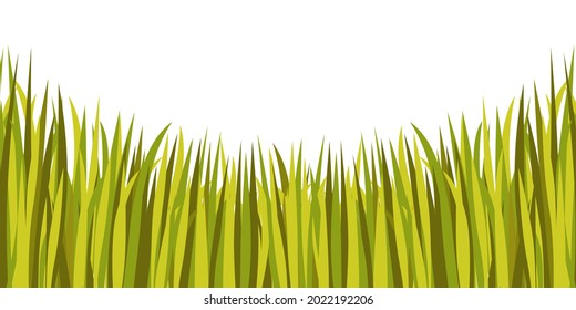 Yellow and green grass background. Vector illustration.