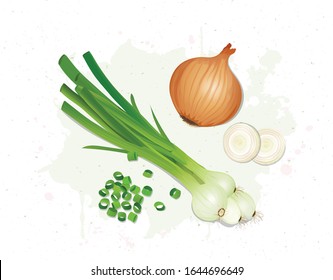 Yellow and Green Onions vector illustration isolated on white background