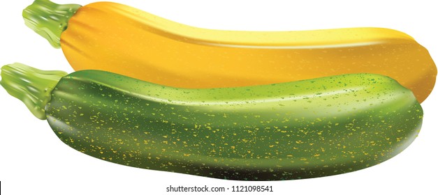 Yellow and green zucchini vegetable 