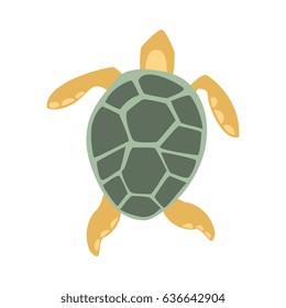 Yellow And Grey Turtle, Part Of Mediterranean Sea Marine Animals And Reef Life Illustrations Series