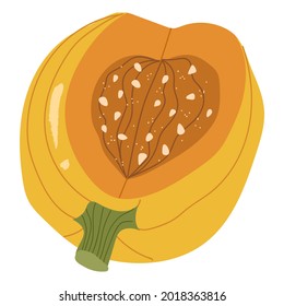 Yellow halves pumpkin, autumn decorative.Vector hand drawn