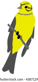 yellow hammer