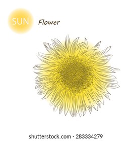 Yellow hand drawing sunflower. Vector illustration.