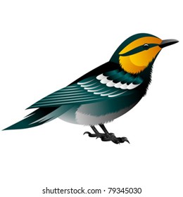 yellow headed blue bird
