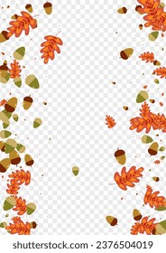 Yellow Herb Background Transparent Vector. Leaves Silhouette Set. Red Acorn. Decorative Design. Brown Plant Image.