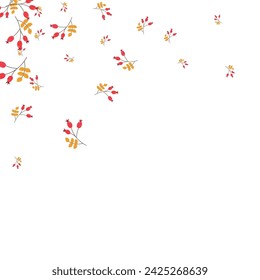Yellow Herb Background White Vector. Berries Isolated Set. Red Leaves Season. Poster Frame. Foliage Vibrant.