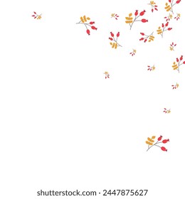 Yellow Herb Background White Vector. Leaf Landscape Card. Red Berries Paper. Decoration Illustration. Foliage School.
