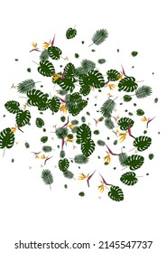 Yellow Hibiscus Background White Vector. Monstera Wrapping Backdrop. Pink Strelitzia. Botanical Frame. Light Green Branch Illustration.