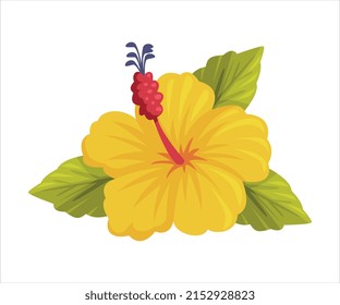 Yellow Hibiscus Flower as Bali Traditional Cultural Attribute Vector Illustration