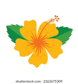 yellow hibiscus flower flat vector illustration clipart isolated on white background