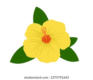 Yellow hibiscus flower with green leaves isolated. Flat illustration of tropical Hibiscus in close up. Hardy hibiscus or rose mallow flower in cartoon style. Vector illustration rose of sharon 