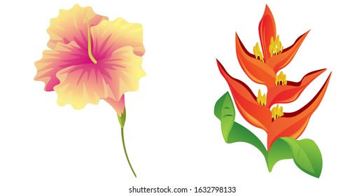 Yellow Hibiscus. Orange Heliconia. Vector illustration. Isolated illustration element. Floral botanical flower. Wild leaf wildflower isolated. Exotic tropical hawaiian jungle.