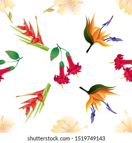 Yellow Hibiscus Red Angel Trumpet Red Stock Illustration 1519749164 ...