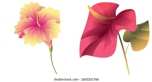 Yellow Hibiscus. Red Calla. Vector illustration. Isolated illustration element. Floral botanical flower. Wild leaf wildflower isolated. Exotic tropical hawaiian jungle.