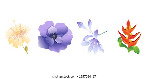 Yellow hibiscus. Violet Anemone. Violet Agapanthus Lily. Orange Heliconia. Vector illustration. Isolated illustration element. Floral botanical flower. Wild leaf wildflower isolated. Exotic tropical.