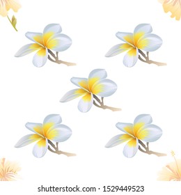 Yellow hibiscus. White Plumeria. Vector illustration. Seamless background pattern. Floral botanical flower. Wild leaf wildflower isolated. Exotic tropical hawaiian jungle. Fabric wallpaper print.