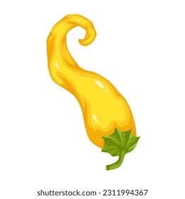Yellow hot chili pepper. Vector graphics.