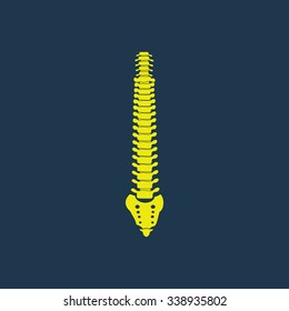 Yellow icon of Spine on dark blue background. Eps.10