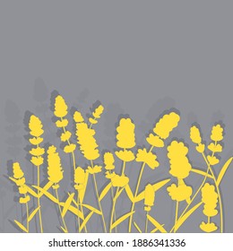 Yellow illuminating lavender flowers on ultimate gray background