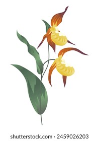 Yellow iris flower on stem in flat design. Wildflower with green leaves. Vector illustration isolated.