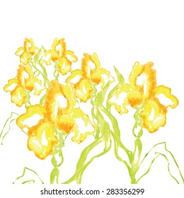 yellow iris watercolor vector background