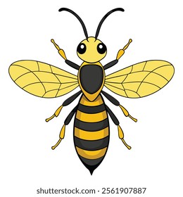 yellow jacket insect flat vector illustration on white background