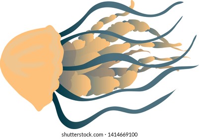 Yellow jellyfish with thick tentacles close-up. Vector illustration on white background.