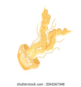 Yellow Jellyfish with Umbrella-shaped Bell and Trailing Tentacles Vector Illustration