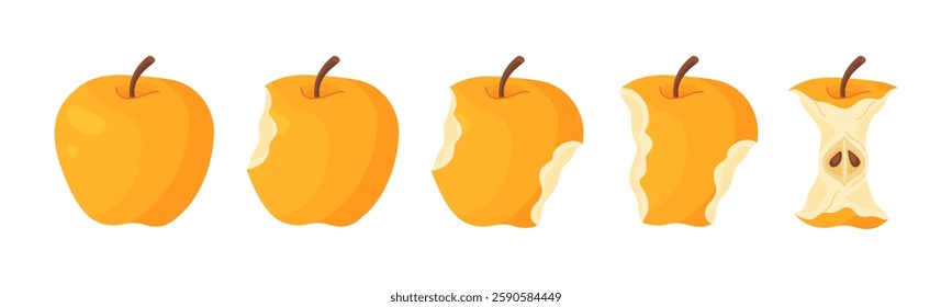 Yellow juicy apple eating steps icon set. Stages of biting ripe apple from whole to half and core, bite progression. Hand drawn flat style isolated. Bitten apple fresh garden fruit Vector illustration