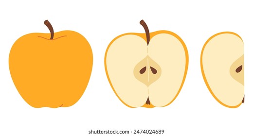 Juego dibujado a mano de manzana jugosa amarilla. Entera, mitad, rodaja de manzana fresca amarilla. Colección de manzanas enteras y en rodajas. Estilo plano aislado sobre fondo transparente. Ilustración vectorial