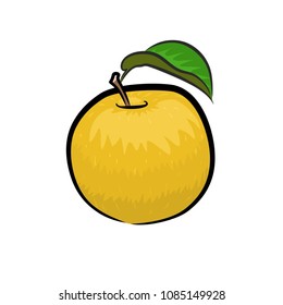 Yellow juicy apple (Vector)