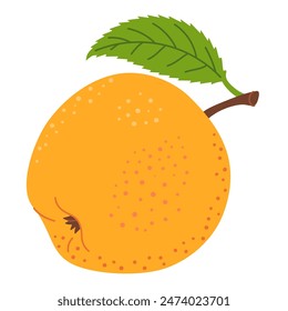 Yellow juicy ripe apple with green leaf. Hand drawn apple trendy flat style isolated on transparent background. Apple harvest. Healthy vegetarian snack, fresh apple for design, infographic.