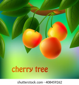 Yellow, juicy, sweet cherries on a branch for your design. Vector illustration