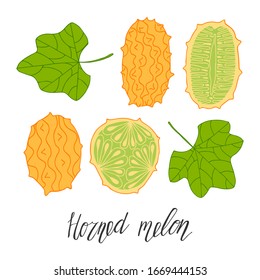 Yellow kiwano set of elements. Hand drawn poster. Stock vector illustration.