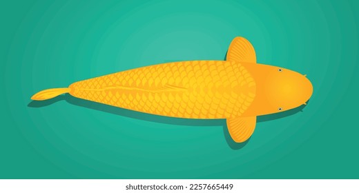 Yellow Koi Fish - Solid Yellow Fish Koi Kigoi
