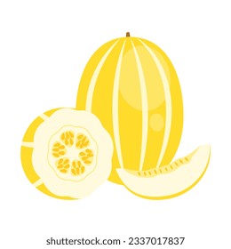 Yellow Korean melon whole fruit, slice and half isolated on white background. Cucumis melo, oriental melon, muskmelon or chamoe icon. Vector illustration of tropical exotic fruits in flat style.