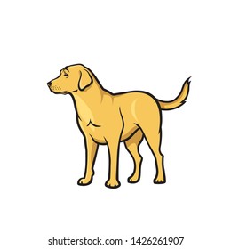 Yellow Labrador Retriever - isolated vector illustration