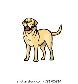 Yellow Labrador Retriever - isolated vector illustration