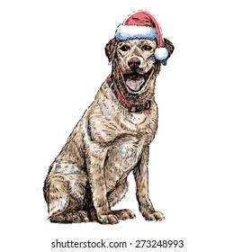 Yellow Labrador Retriever with santa claus hat hand drawn vector , use for christmas background