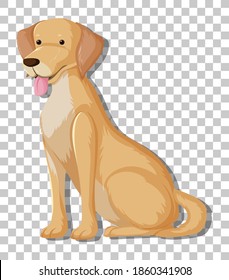 Gelbes Labrador Retriever in sitzender Position, Cartoon-Charakter einzeln auf transparentem Hintergrund