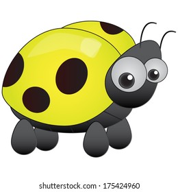 Yellow Ladybird