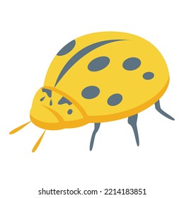 Yellow ladybird icon isometric vector. Cute insect. Garden animal