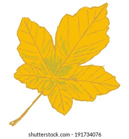 yellow leaf