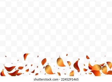 Yellow Leaf Abstract Vector White Transparent Background Design. Fly Solar Border. Red Leaves Spring Pattern. Foliage Nature Template.