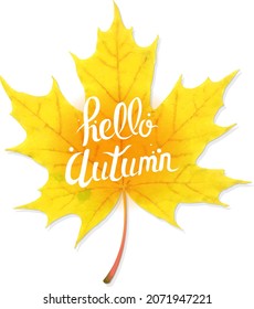 Yellow Leaf With Autumn Text With Gradient Background, Vector Illustration