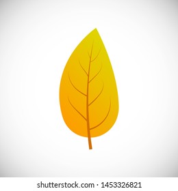 Yellow leaf. Autumn leaf of a tree on a white background. Vector illustration